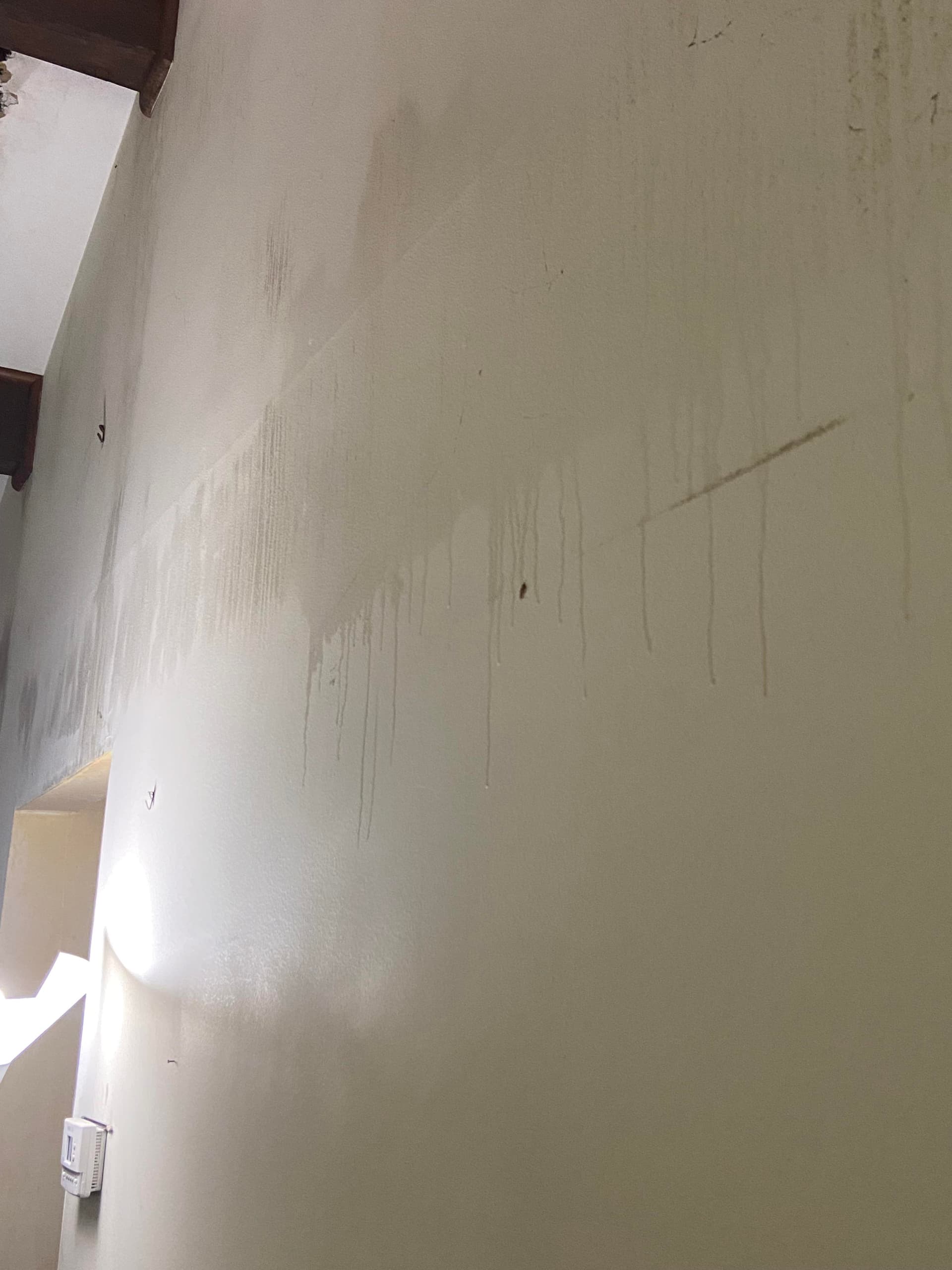 Moisture & Odor Removal